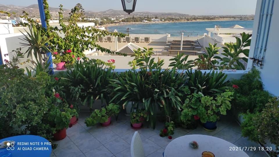 Hotel Elizabeth Naxos City Buitenkant foto